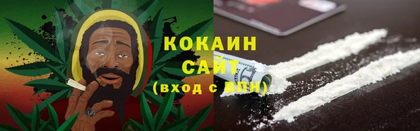 дурь Пестово