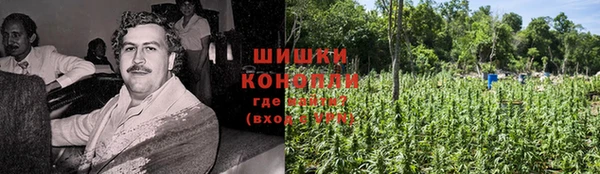 дурь Пестово