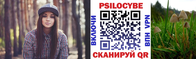 Галлюциногенные грибы ЛСД Хасавюрт