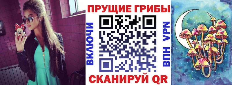 где продают наркотики  Хасавюрт  MEGA ссылка  Псилоцибиновые грибы прущие грибы 