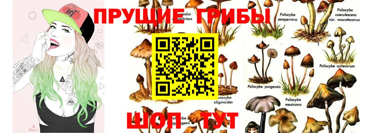 Псилоцибиновые грибы ЛСД Хасавюрт