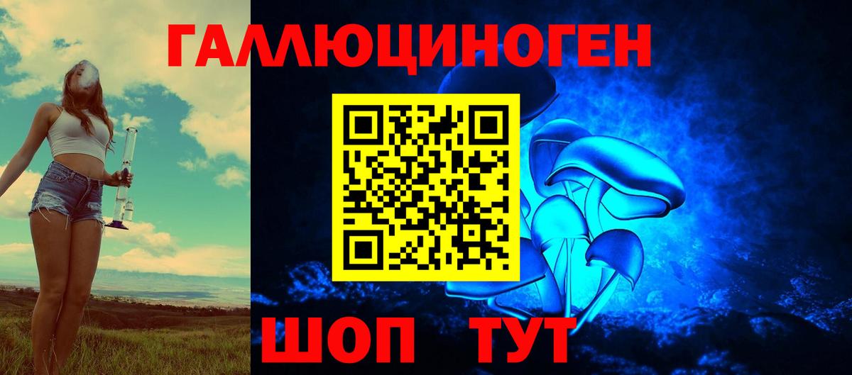 Хасавюрт  Галлюциногенные грибы ЛСД  Вход с VPN 
